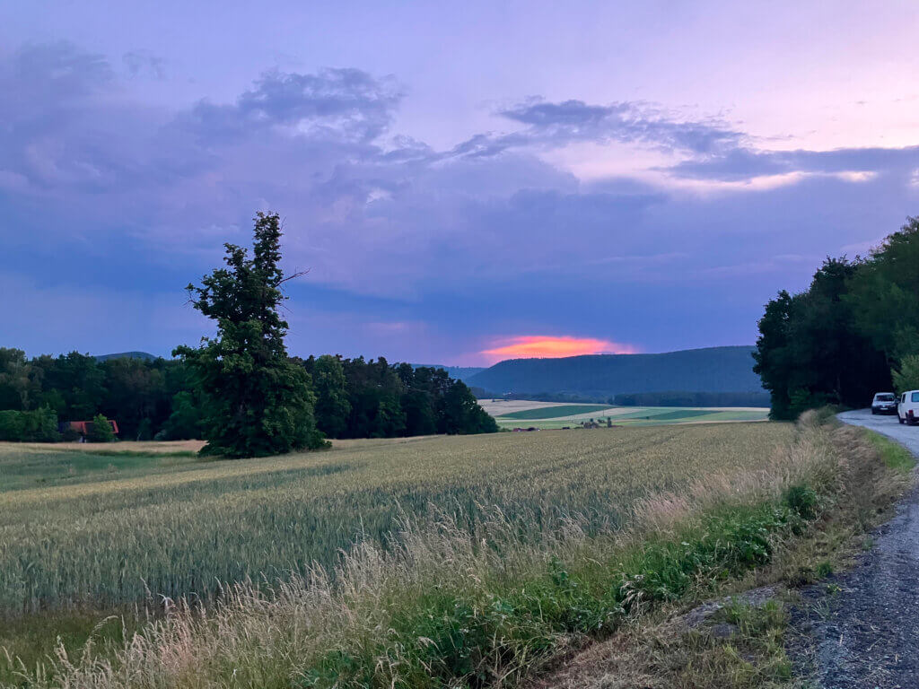 Zargenbruch, Oberkeil, 20.06.2026, Baum, Morgendämmerung